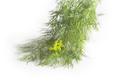 Image of COM: Spice Dill Weed Whole - 12 x 225 Grams